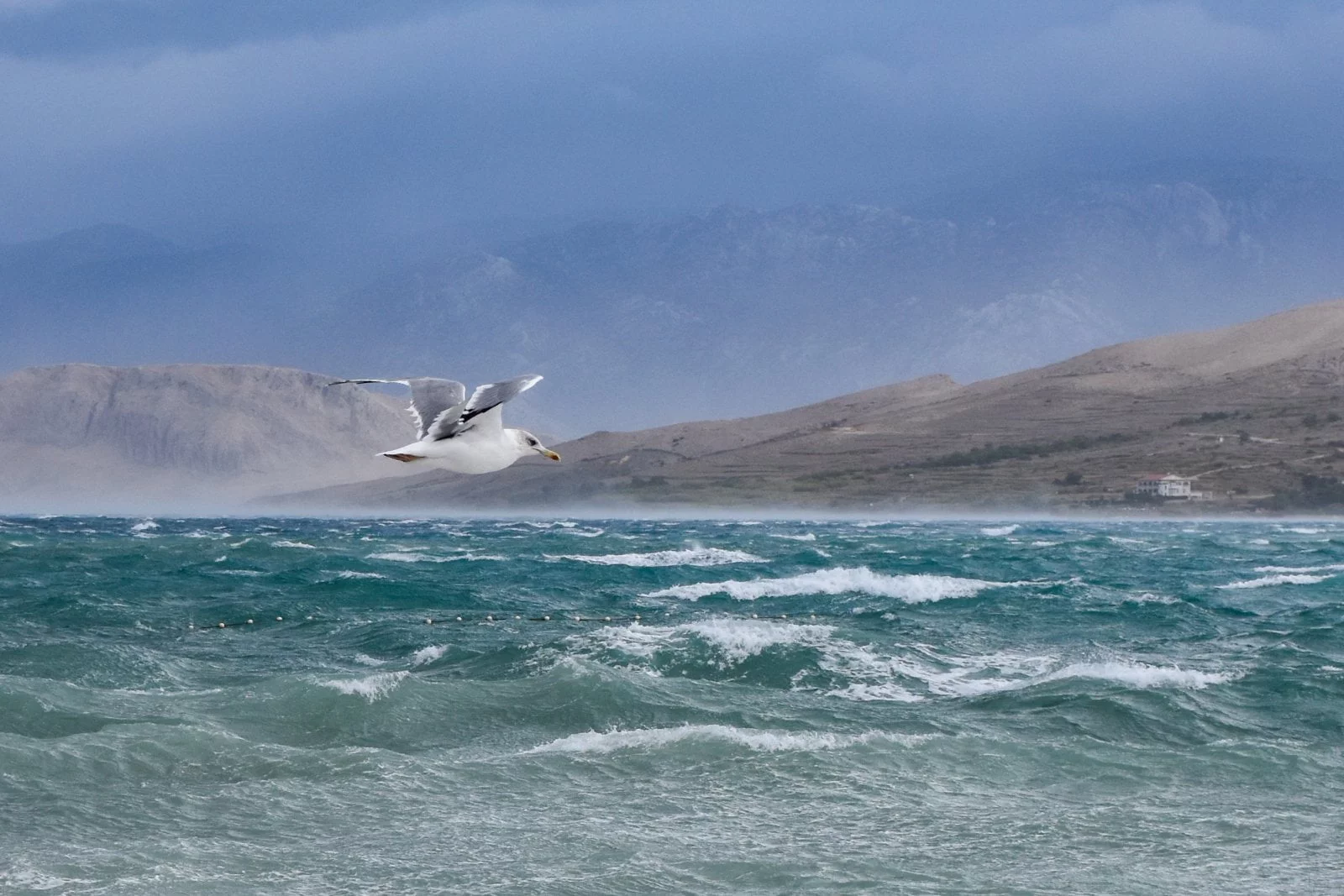 Volim svoju županiju - izložba fotografija u Dnevnim bolnicama