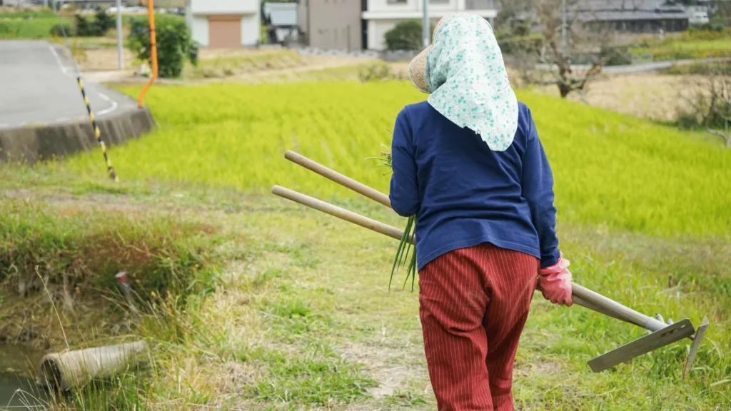 Povezivanje i suradnja među ženama