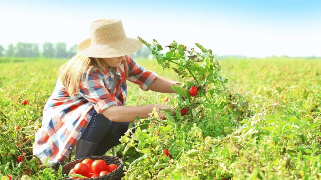 Povezivanje i suradnja među ženama