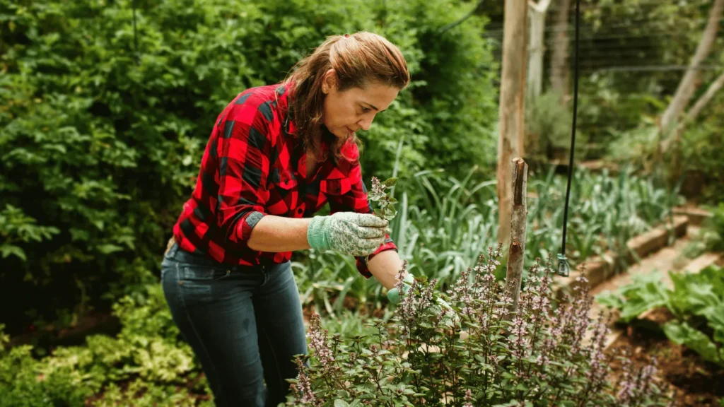Povezivanje i suradnja među ženama