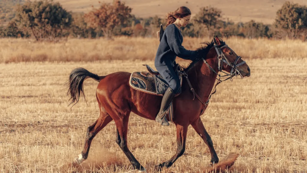 Povezivanje i suradnja među ženama