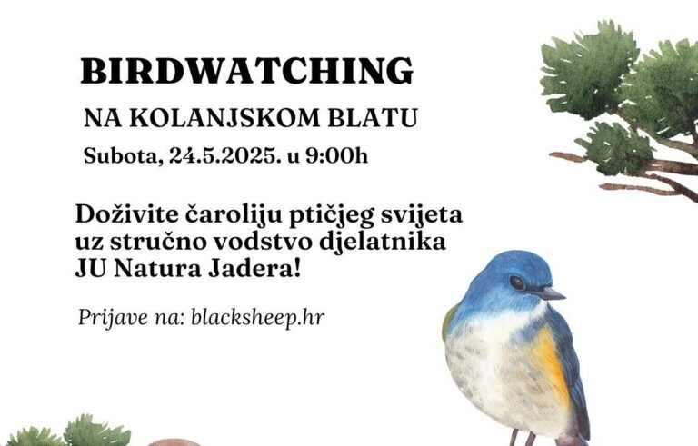 birdwatching_kolanjskoblato_pag