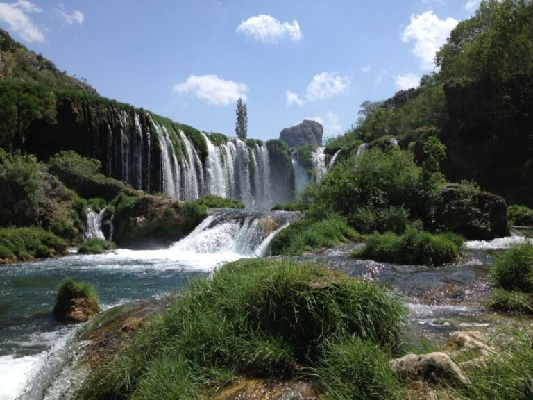 veliki buk zrmanja