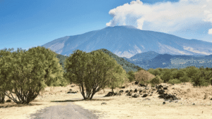 Mount Etna eruptira, izbacujući oblak pepela, plinova i stijena, dok vlasti prate situaciju.