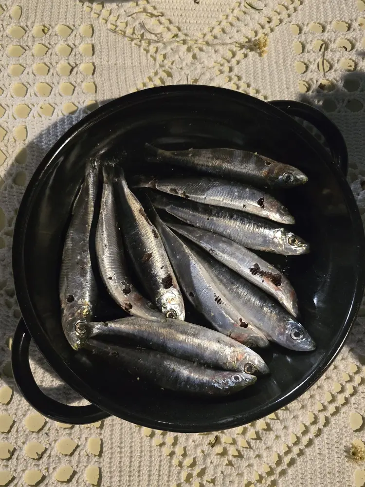 Posjetitelji uživaju u tradicionalnim jelima na manifestaciji Dragarske bumbete u Dragama