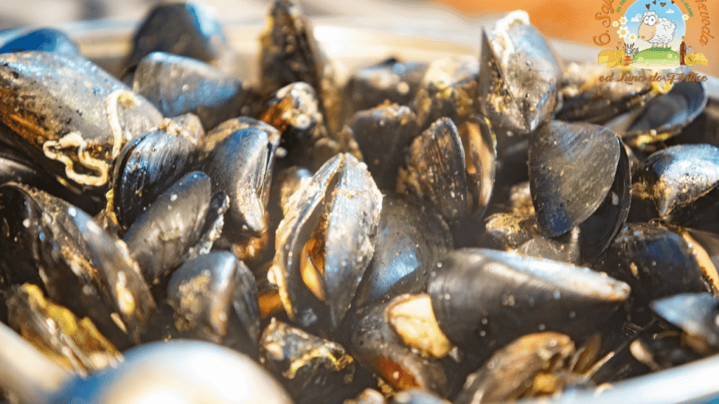 Sajam otočnih proizvoda u Vlašićima na otoku Pagu