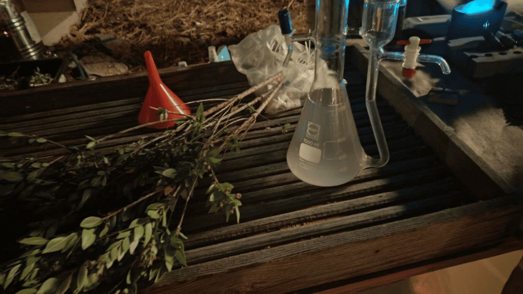 Povorka u narodnim nošnjama i ribarska večer na manifestaciji Škojera 2025. u Božavi