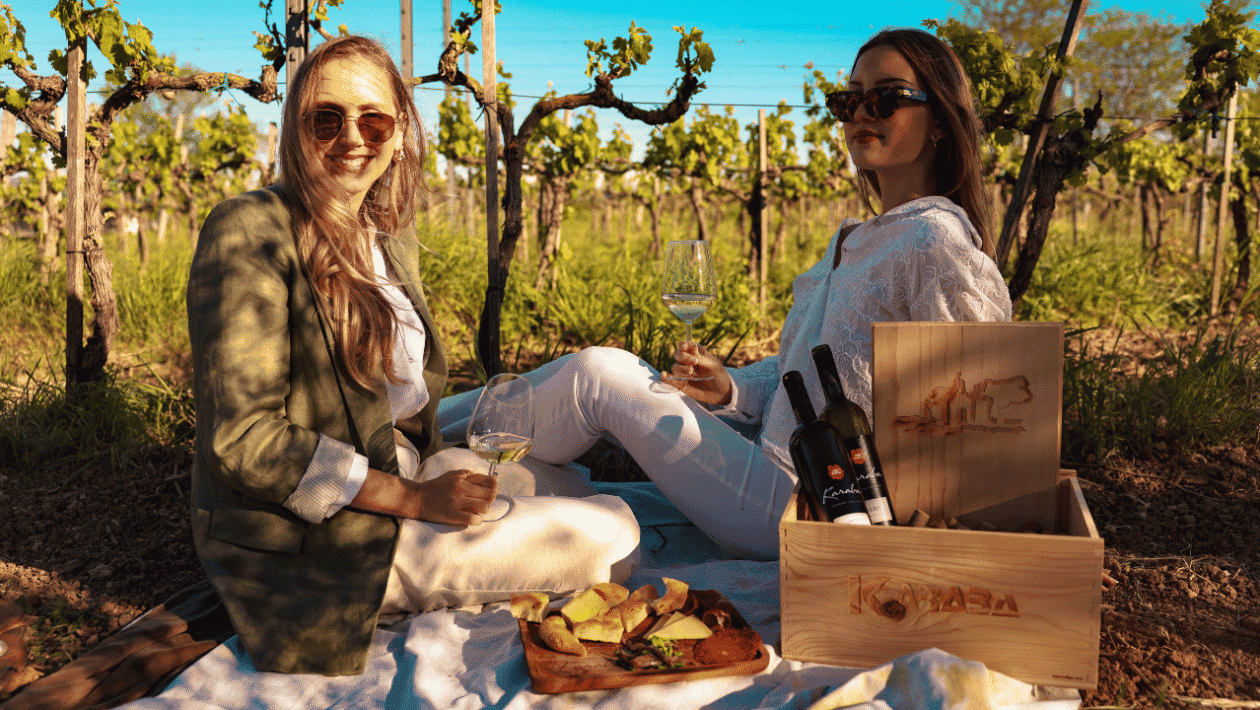 Intervju sa Šimom Kurtovom u Vinariji Karaba u Pakoštanima