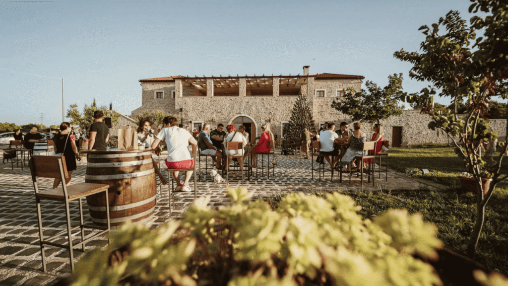 Intervju sa Šimom Kurtovom u Vinariji Karaba u Pakoštanima