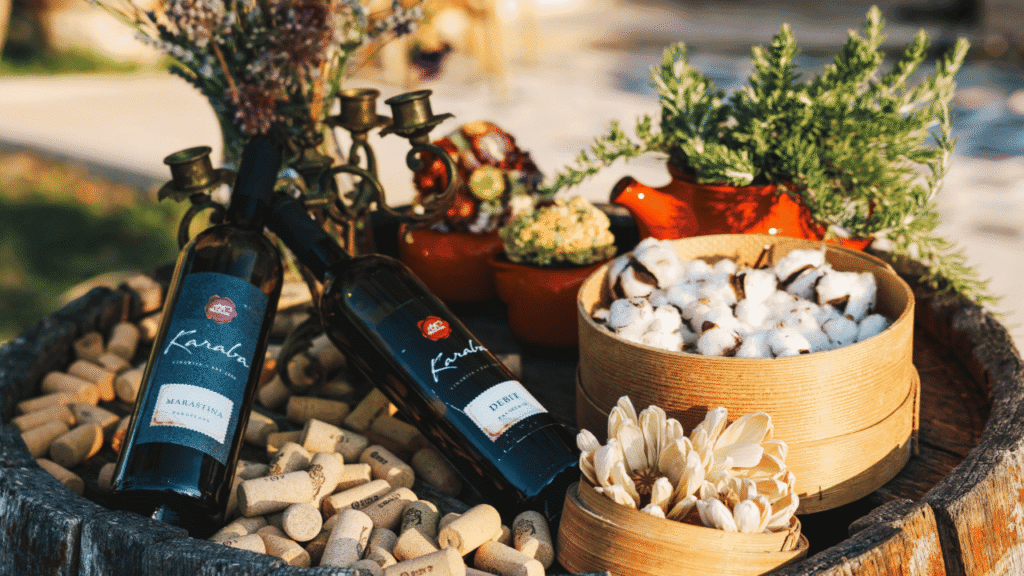 Intervju sa Šimom Kurtovom u Vinariji Karaba u Pakoštanima