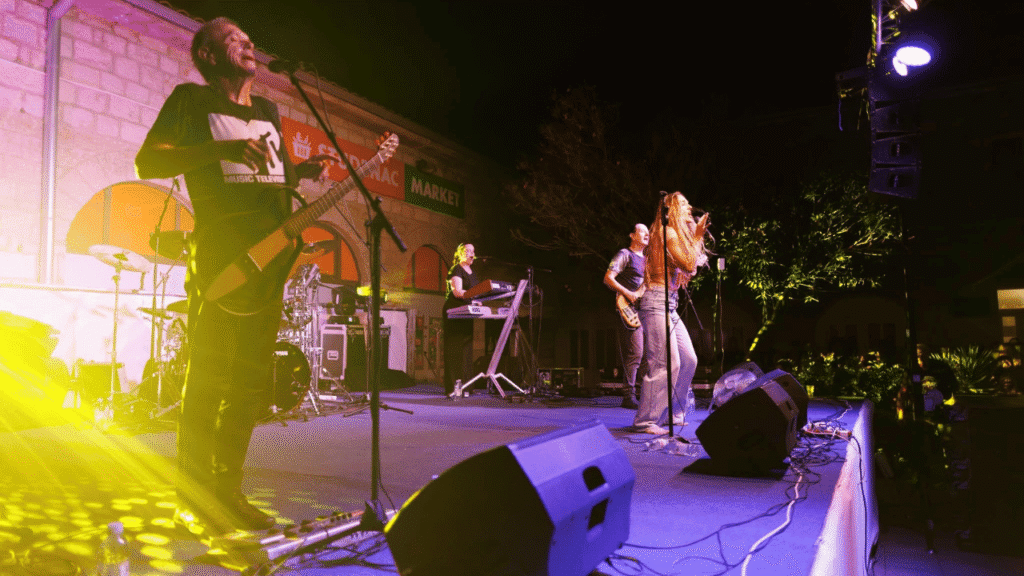 publika na koncertu grupe magazin u kukljici