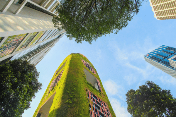 Arhitektura kao ogledalo društva – od gotike do moderne