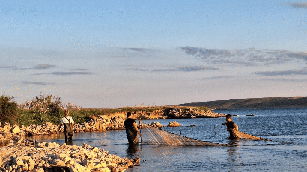 Studenti biologije istražuju ihtiofaunu otoka Paga u sklopu natječaja ZAJEDNO za zelene ideje