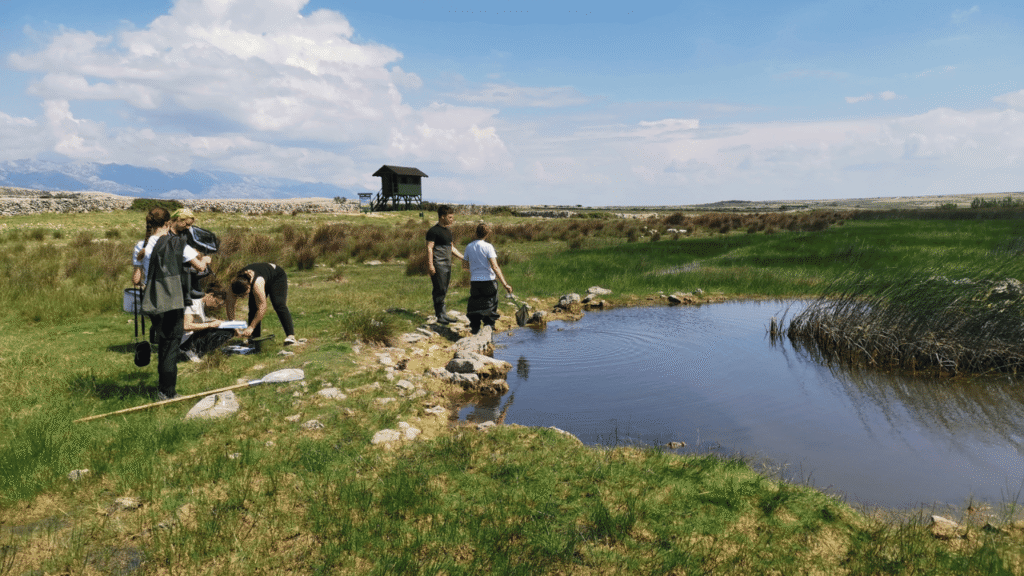 Studenti biologije istražuju ihtiofaunu otoka Paga u sklopu natječaja ZAJEDNO za zelene ideje
