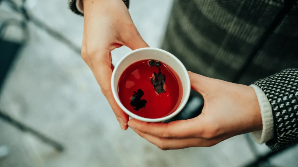Adventske kućice u Zadru s bogatom gastro ponudom i dekorom