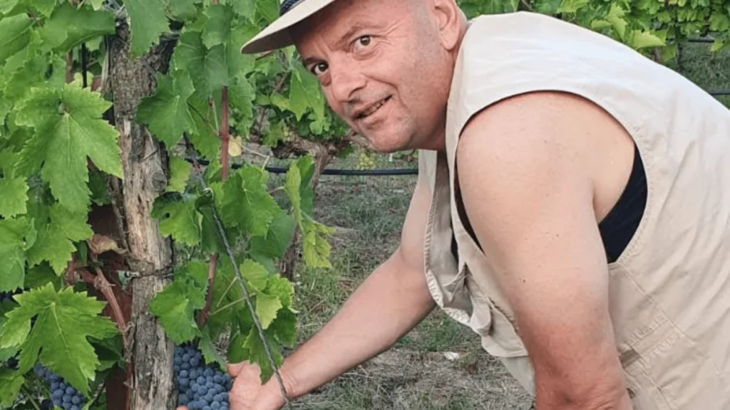 Goce Stanoeski u vinogradu Sarika vinarije