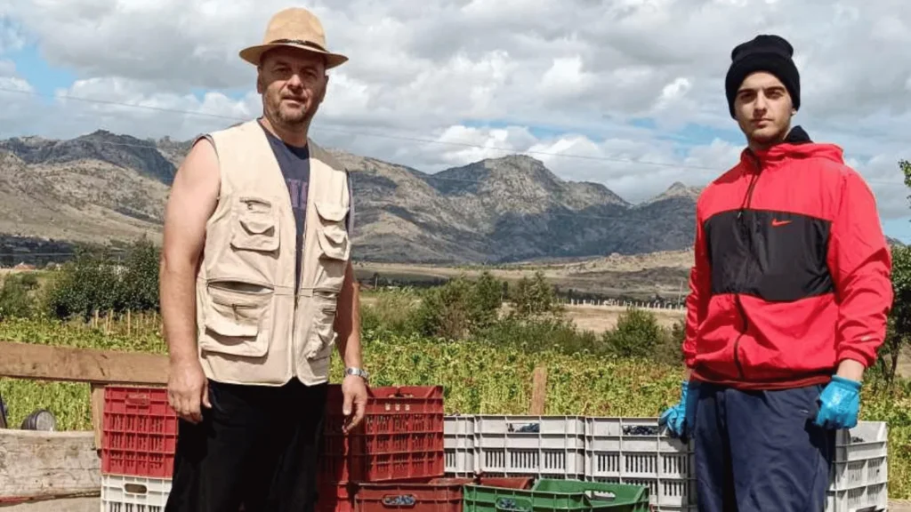 goce stanoeski i radnik stoje u vinogradu