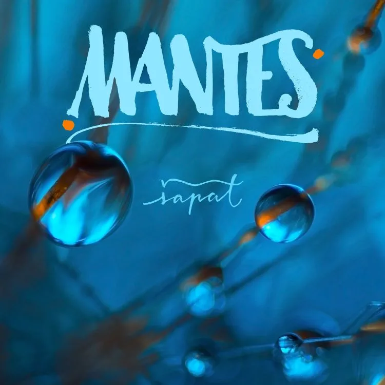 Naslovnica albuma „Šapat“ trija Mantes s makro fotografijom Ivane Antić Stošić