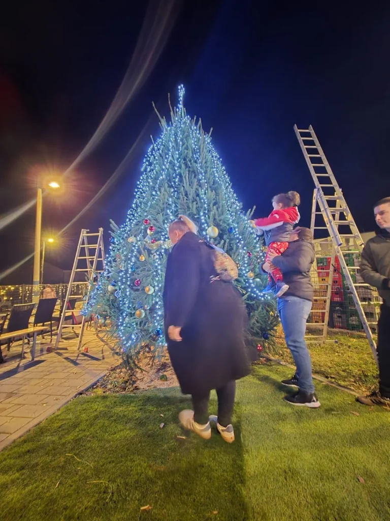 Advent plovanija 2025 jelka