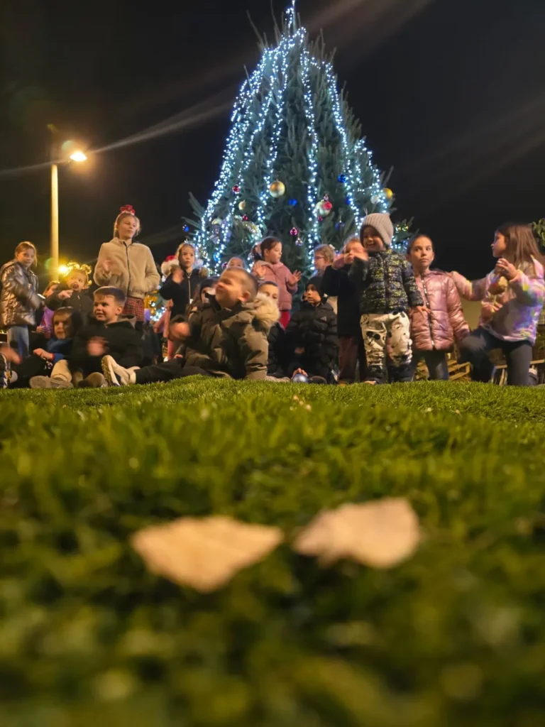 Advent plovanija 2025 jelka