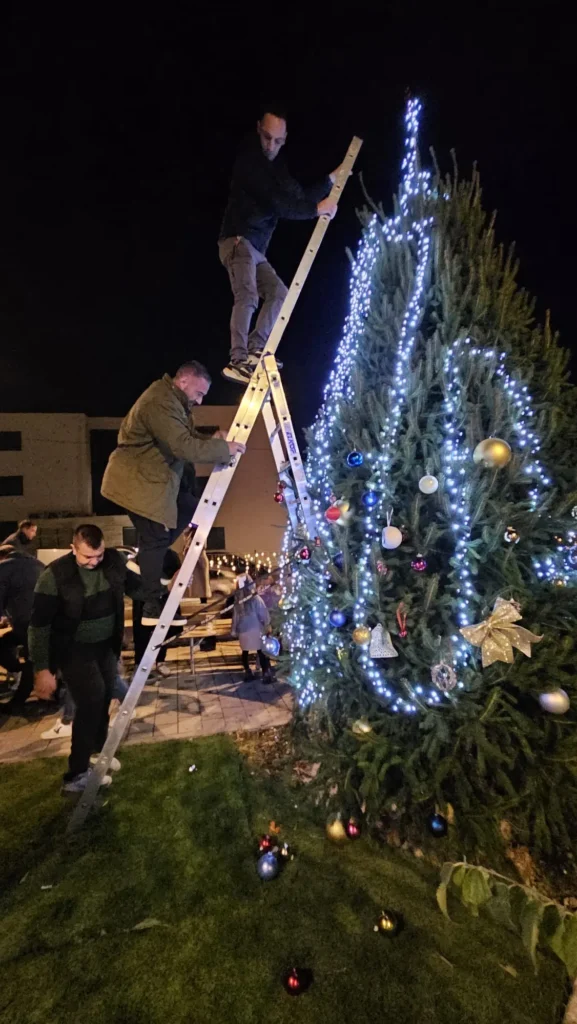 Advent plovanija 2025 jelka