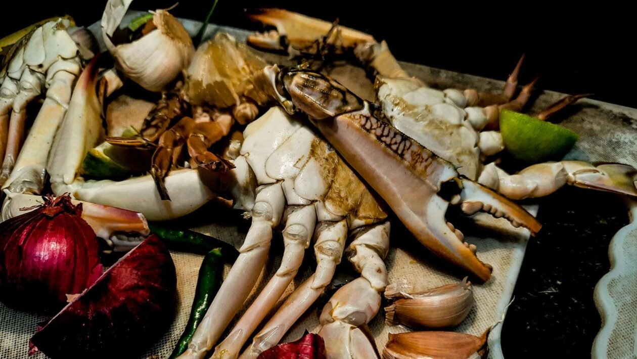 Krupni plan ostataka povrća u kuhinjskoj kanti za kompostiranje, idealan primjer biootpada za kućno kompostiranje.