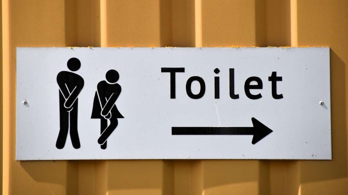 Ilustracija s dijagramom dijelova vodokotlića, uključujući brtve, plovak i ventile, korisno za identifikaciju problema.