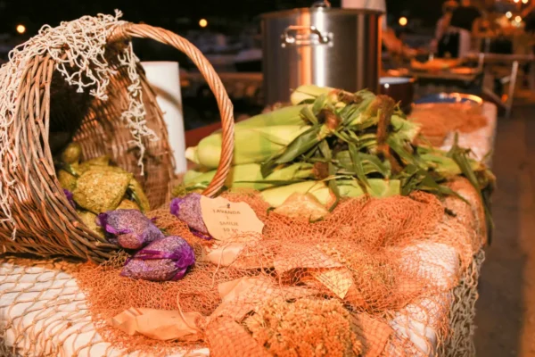 Tradicionalni alati iz Dragama prikazani u agroturizmu Plavica