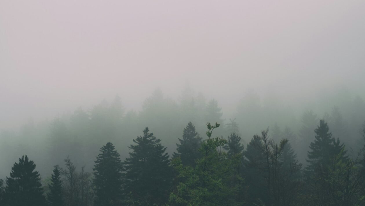 Oblačno zimsko jutro u Biogradu na Moru