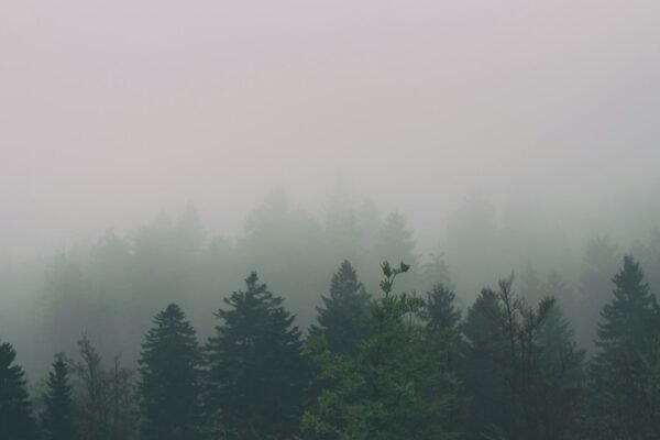 Oblačno zimsko jutro u Biogradu na Moru