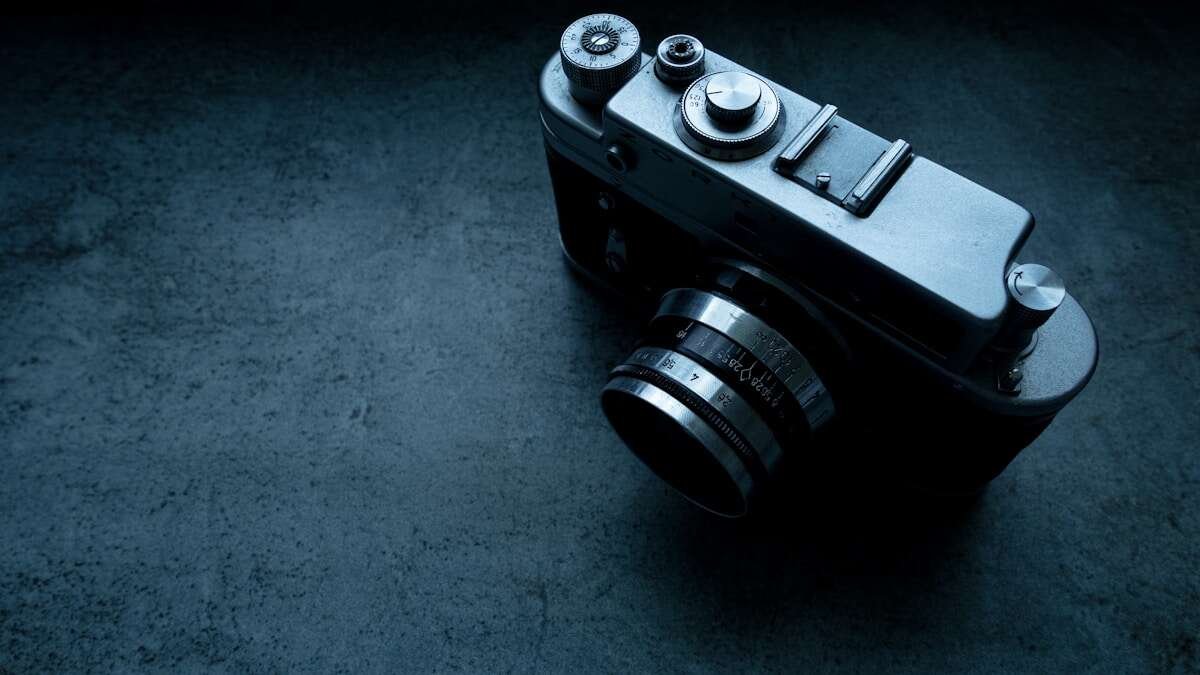 Ilustrativna fotografija za članak o brancin: kako ga koristiti, čuvati i pripremiti