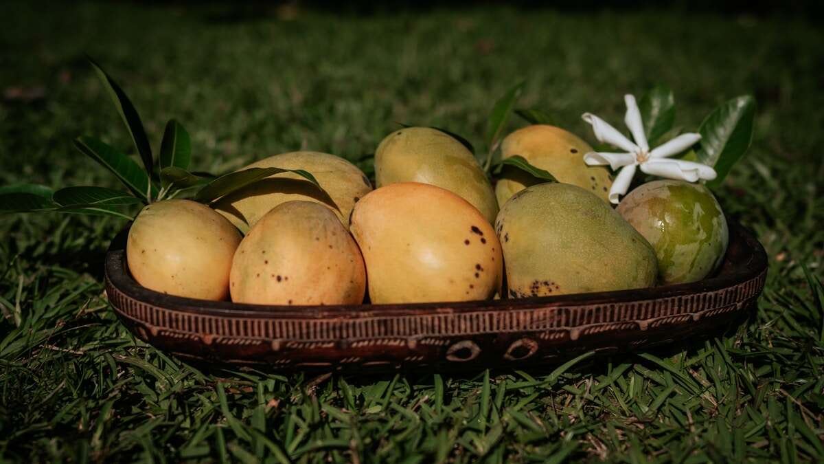 Ilustrativna fotografija za članak o sušeni mango: odabir, čuvanje i priprema