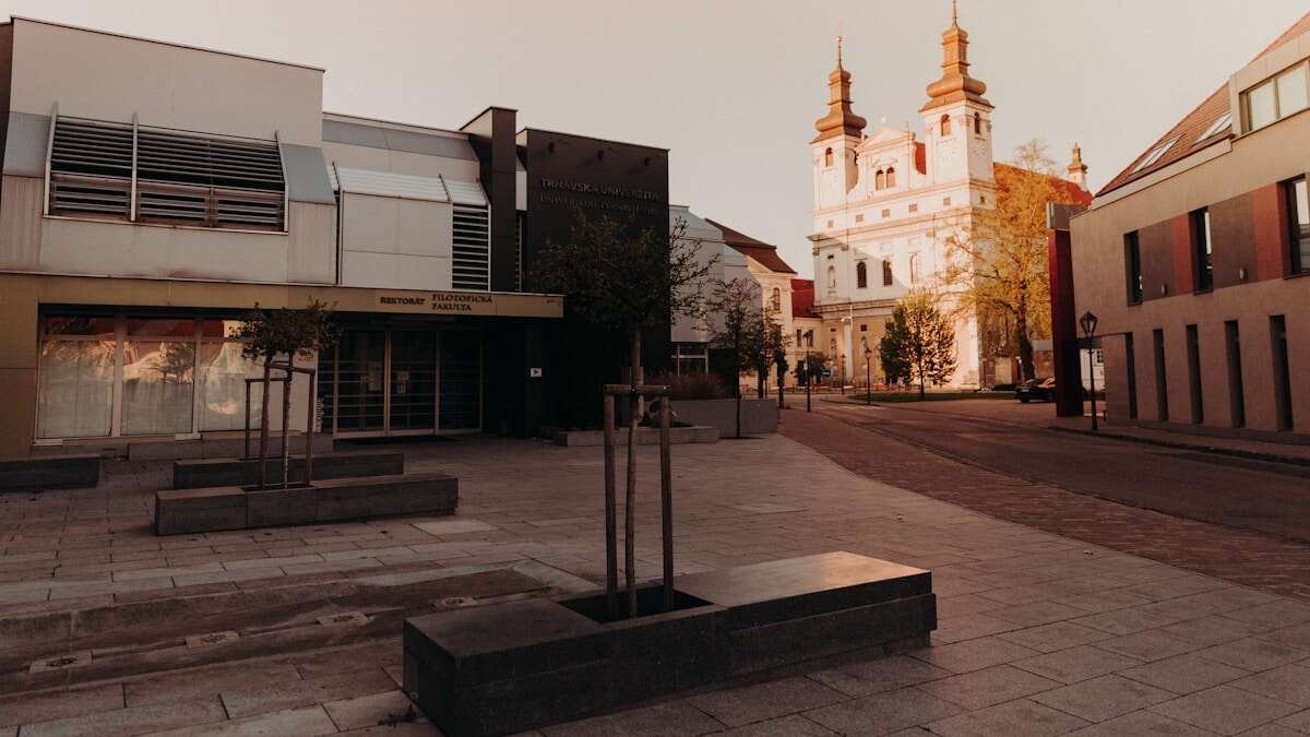 Ilustrativna fotografija za članak o narančina korica: odabir, čuvanje i priprema