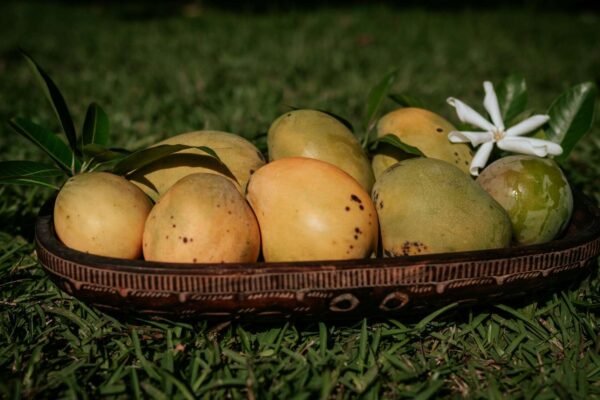 Ilustrativna fotografija za članak o sušeni mango: odabir, čuvanje i priprema