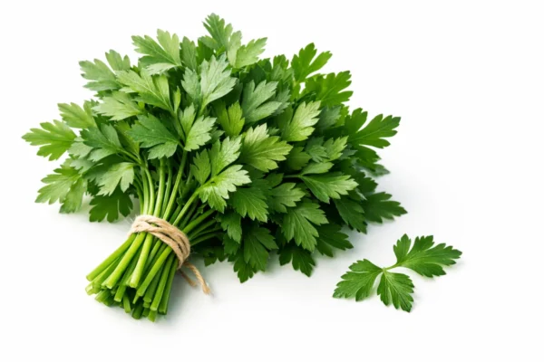 Ilustrativna fotografija za članak o peršin list: kako koristiti, čuvati i pripremiti