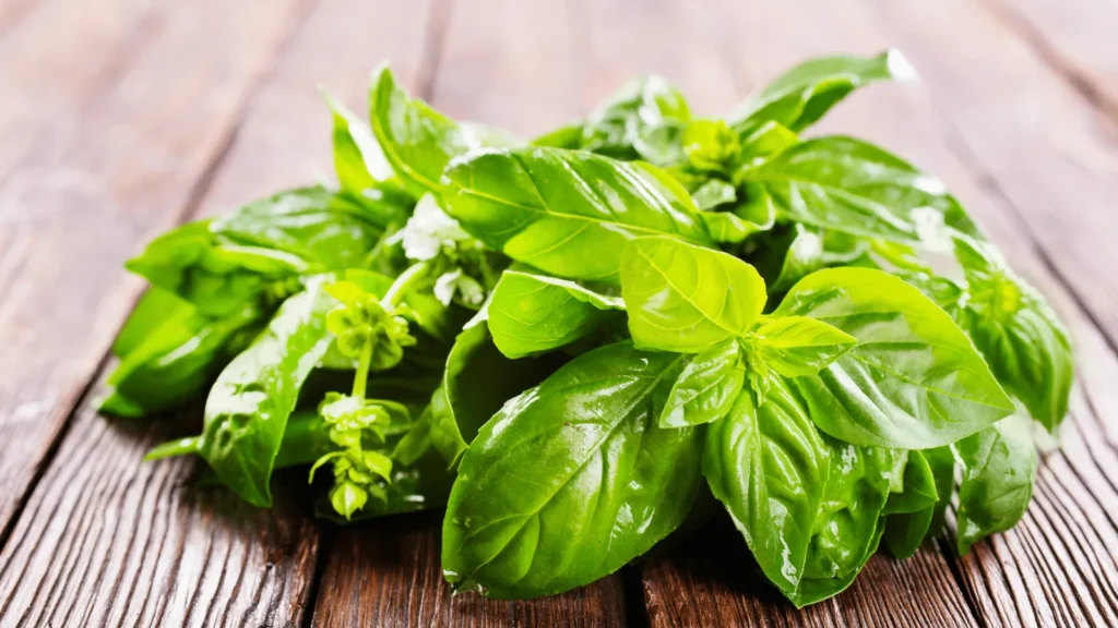 Ilustrativna fotografija za članak o bosiljak: kako ga koristiti, čuvati i pripremiti