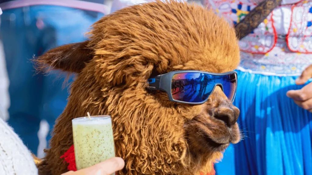 Maskirani kućni ljubimci i vlasnici na karnevalu u Zadru