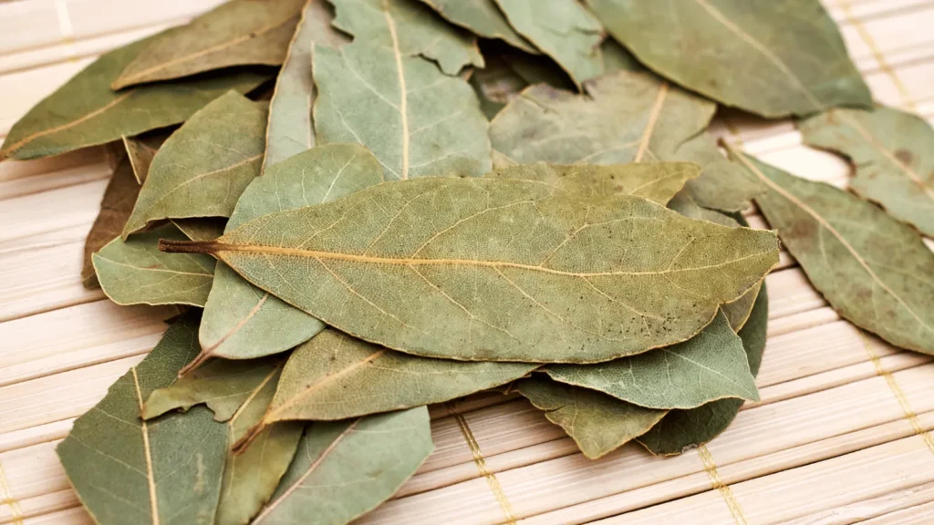 Ilustrativna fotografija za članak o lovor: kako koristiti, čuvati i pripremiti