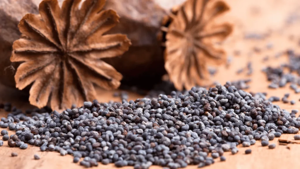 Ilustrativna fotografija za članak o mak u prehrani: korištenje, čuvanje i priprema