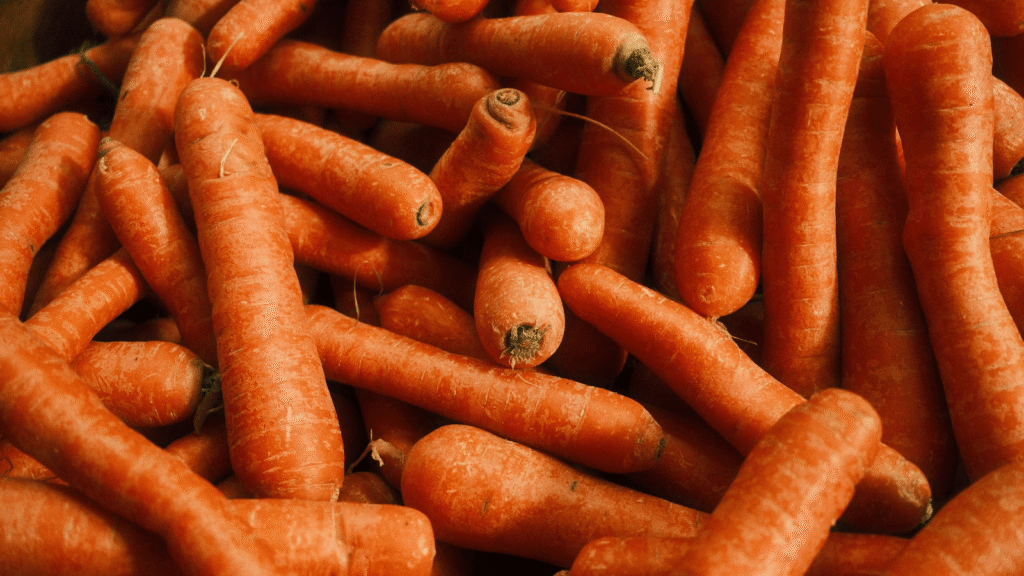 Ilustrativna fotografija za članak o mrkva: kako je pravilno koristiti i čuvati