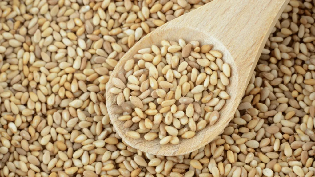 Ilustrativna fotografija za članak o sezam: kako ga koristiti, čuvati i pripremiti