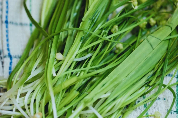 Ilustrativna fotografija za članak o vlasac: kako ga koristiti, čuvati i pripremiti