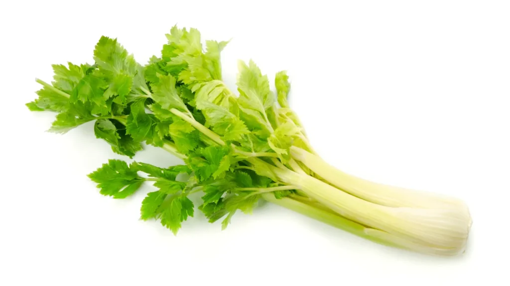 Ilustrativna fotografija za članak o celer: kako koristiti, čuvati i pripremiti