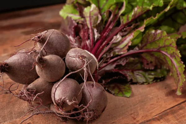 Ilustrativna fotografija za članak o cikla: kako je koristiti, čuvati i pripremiti