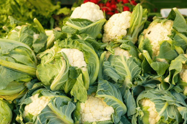 Ilustrativna fotografija za članak o cvjetača: kako je koristiti, čuvati i pripremiti