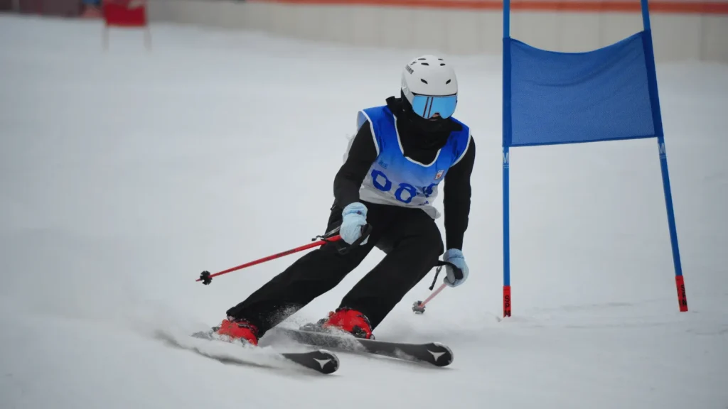 ilustracija lisica vezana uz izvlačenje novca iz skijaške organizacije