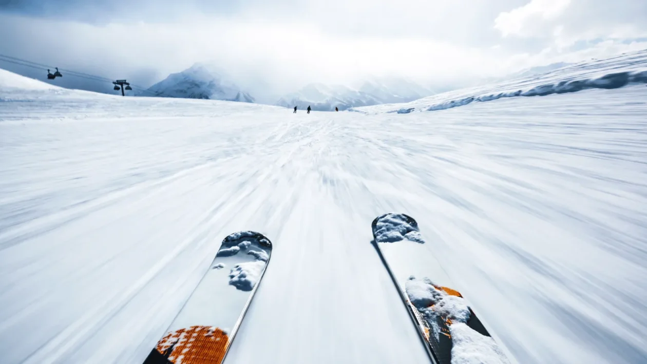 ilustracija lisica vezana uz izvlačenje novca iz skijaške organizacije