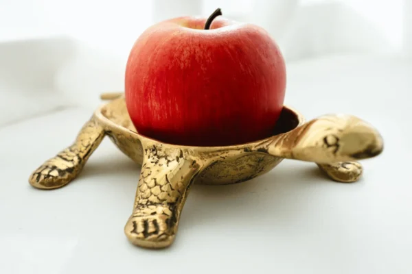 Ilustrativna fotografija za članak o jabuka: kako je koristiti, čuvati i pripremiti