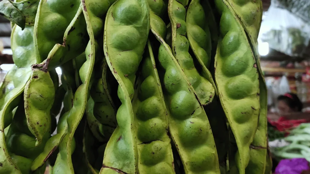 Ilustrativna fotografija za članak o mahune: kako ih koristiti, čuvati i pripremiti