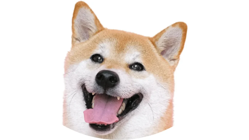 Memovi kao dio digitalne komunikacije i kulture u svakodnevnom online životu